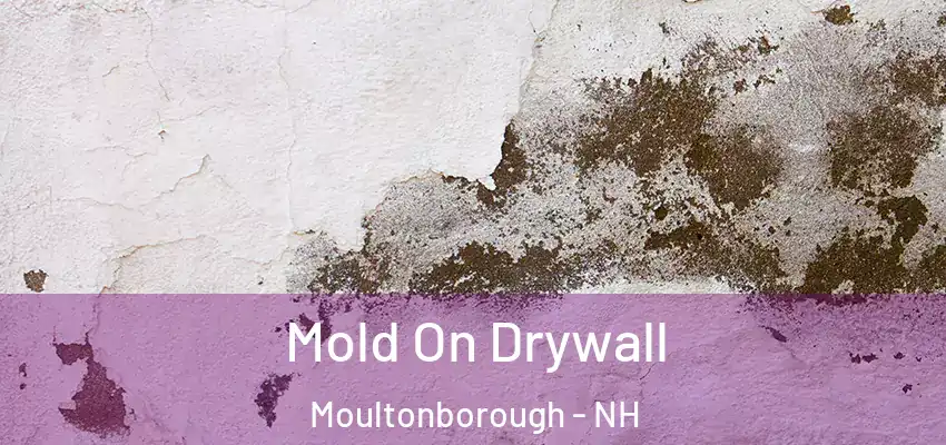 Mold On Drywall Moultonborough - NH