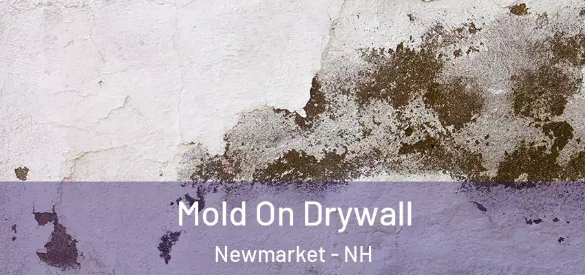  Mold On Drywall Newmarket - NH