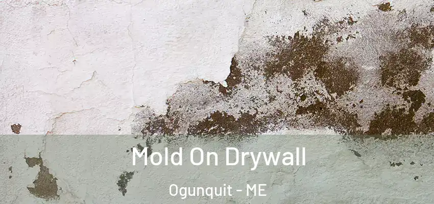  Mold On Drywall Ogunquit - ME