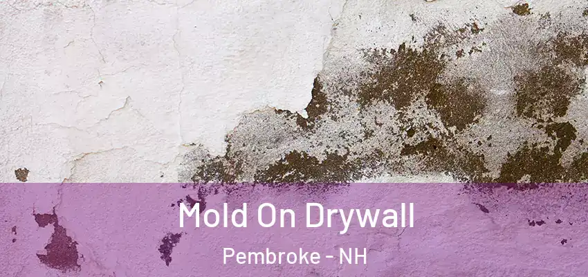  Mold On Drywall Pembroke - NH