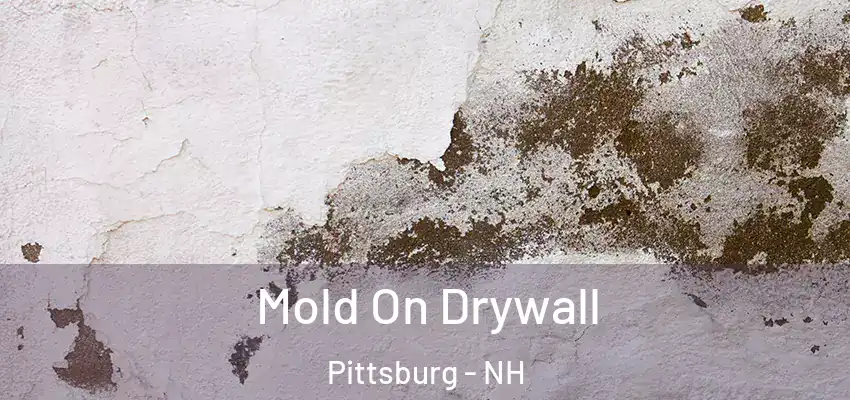  Mold On Drywall Pittsburg - NH
