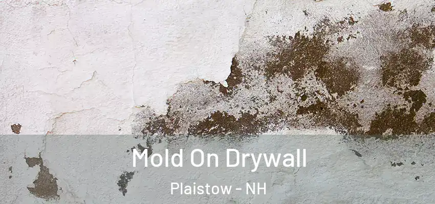  Mold On Drywall Plaistow - NH