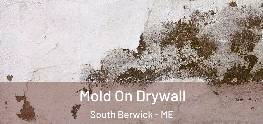  Mold On Drywall South Berwick - ME