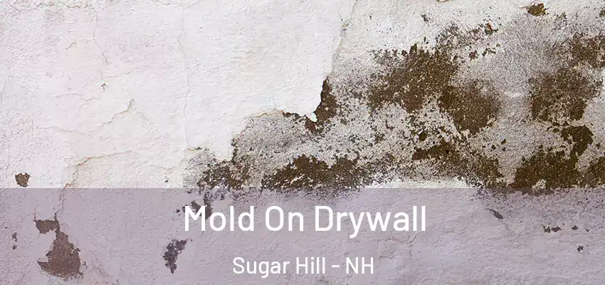 Mold On Drywall Sugar Hill - NH