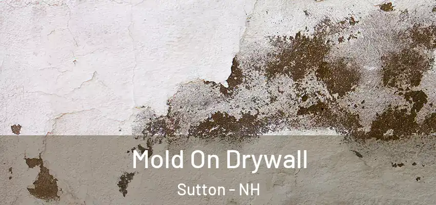  Mold On Drywall Sutton - NH