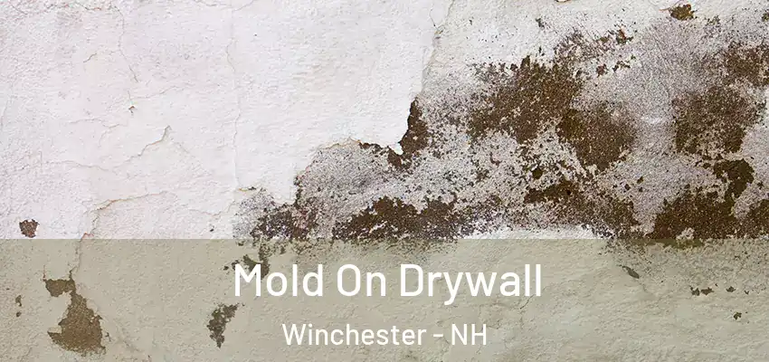  Mold On Drywall Winchester - NH
