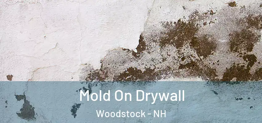 Mold On Drywall Woodstock - NH