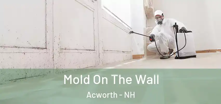 Mold On The Wall Acworth - NH