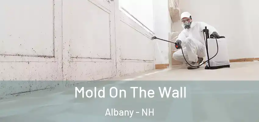 Mold On The Wall Albany - NH
