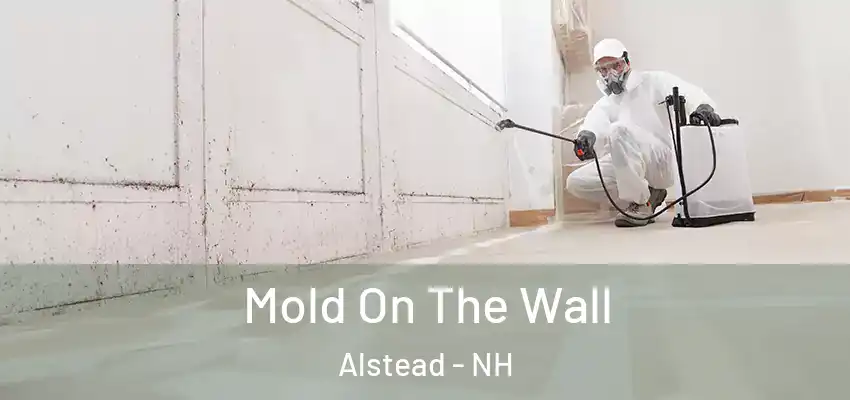  Mold On The Wall Alstead - NH