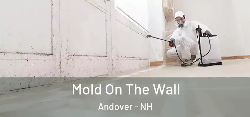  Mold On The Wall Andover - NH
