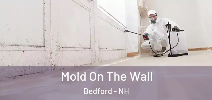 Mold On The Wall Bedford - NH