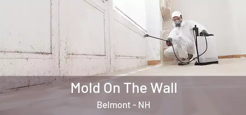  Mold On The Wall Belmont - NH