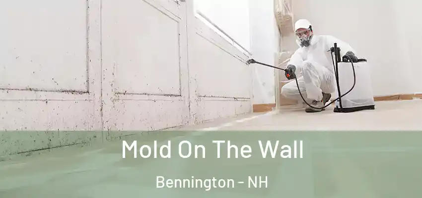  Mold On The Wall Bennington - NH