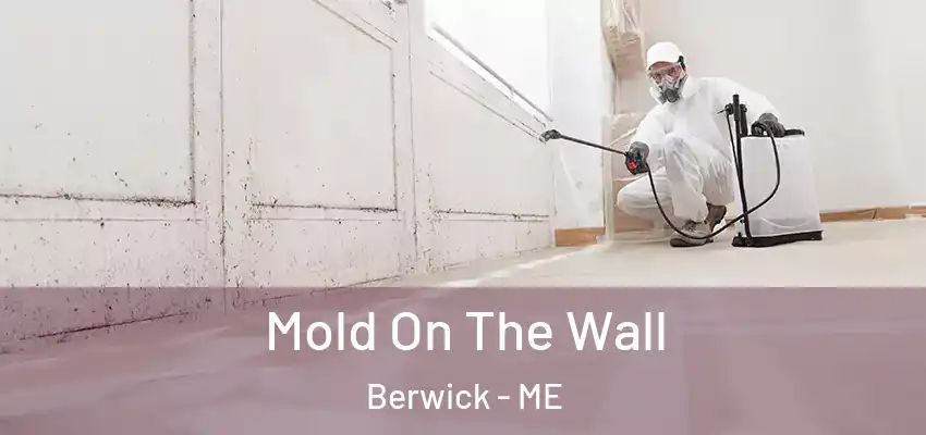  Mold On The Wall Berwick - ME