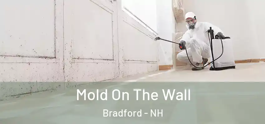 Mold On The Wall Bradford - NH