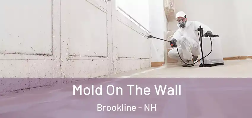 Mold On The Wall Brookline - NH