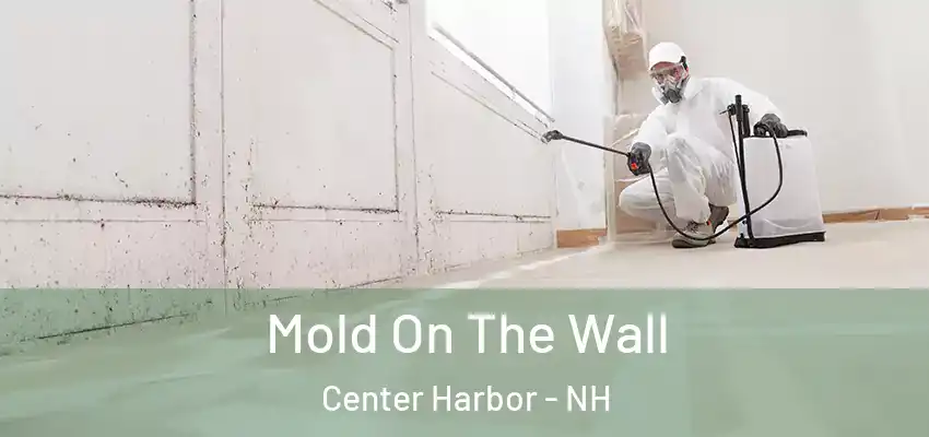  Mold On The Wall Center Harbor - NH