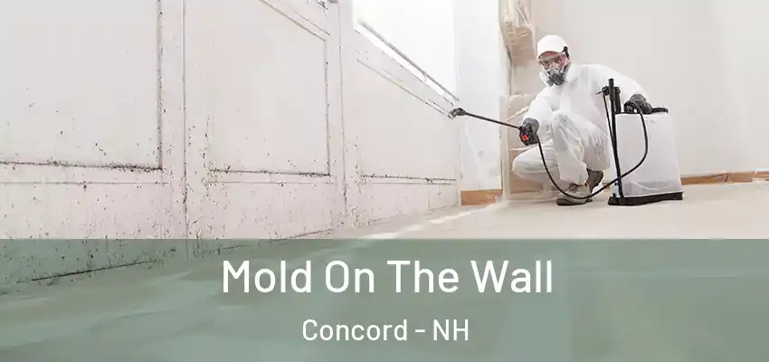  Mold On The Wall Concord - NH