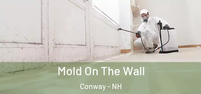  Mold On The Wall Conway - NH