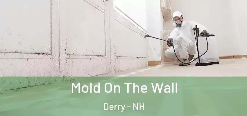  Mold On The Wall Derry - NH