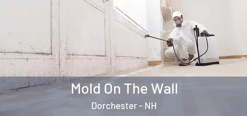 Mold On The Wall Dorchester - NH