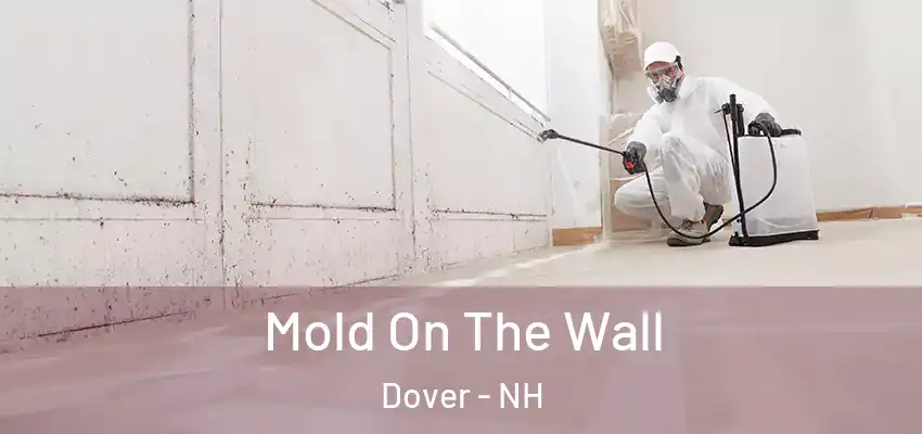 Mold On The Wall Dover - NH