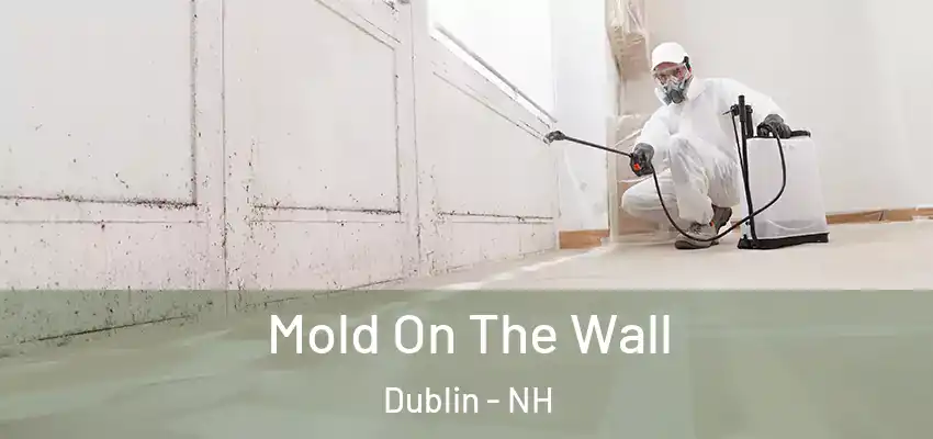  Mold On The Wall Dublin - NH