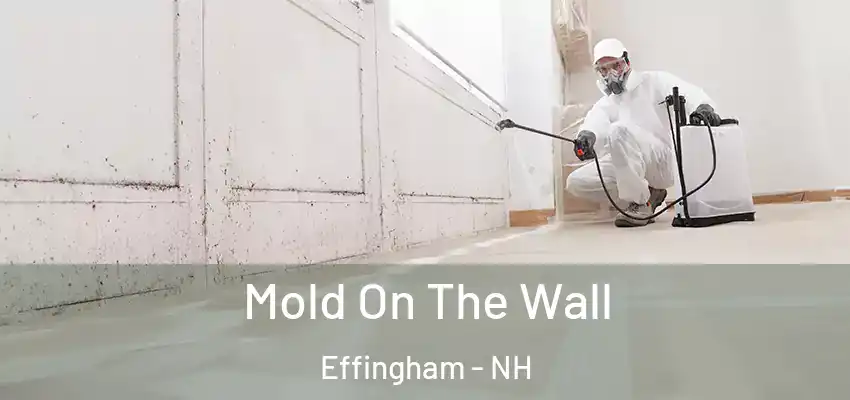  Mold On The Wall Effingham - NH