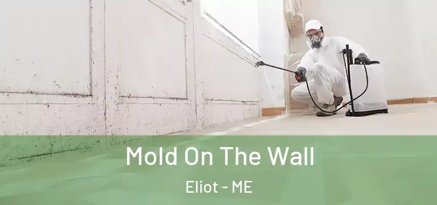  Mold On The Wall Eliot - ME