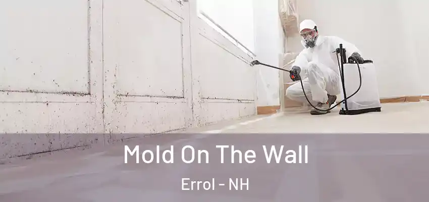  Mold On The Wall Errol - NH