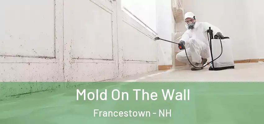  Mold On The Wall Francestown - NH