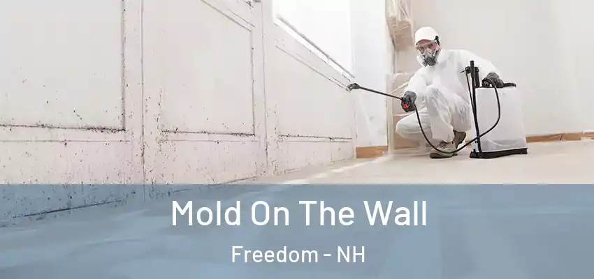 Mold On The Wall Freedom - NH