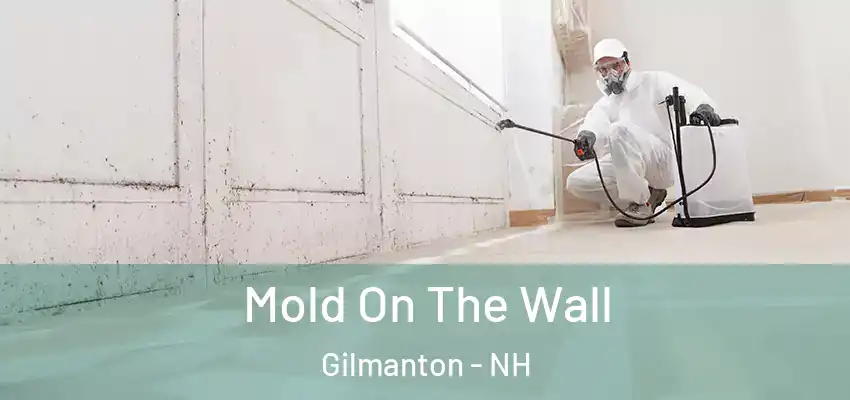  Mold On The Wall Gilmanton - NH