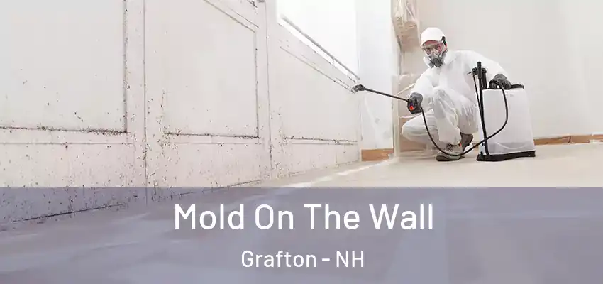  Mold On The Wall Grafton - NH