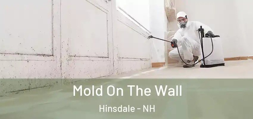  Mold On The Wall Hinsdale - NH