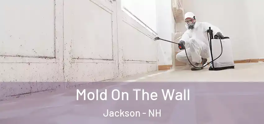 Mold On The Wall Jackson - NH