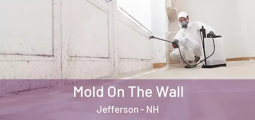  Mold On The Wall Jefferson - NH