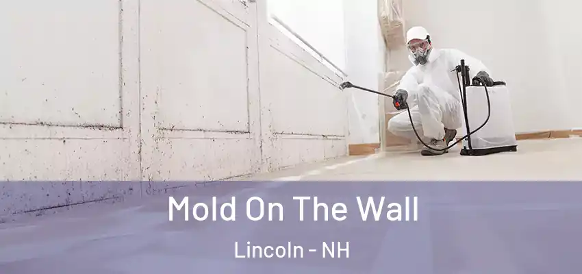 Mold On The Wall Lincoln - NH