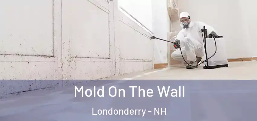  Mold On The Wall Londonderry - NH