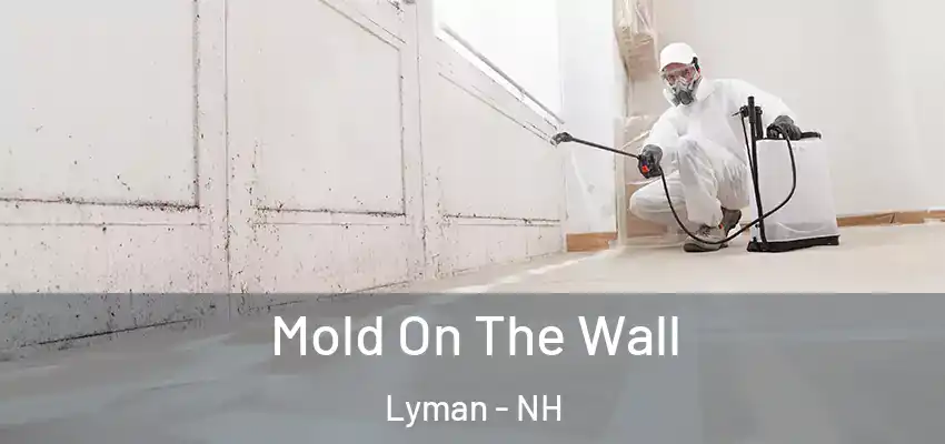  Mold On The Wall Lyman - NH