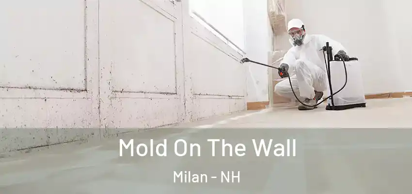  Mold On The Wall Milan - NH