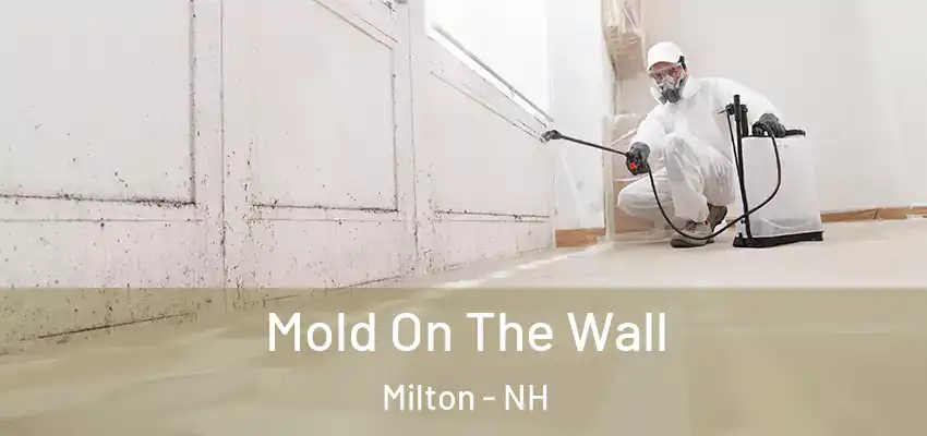  Mold On The Wall Milton - NH