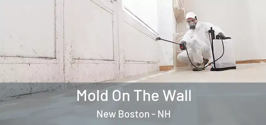  Mold On The Wall New Boston - NH