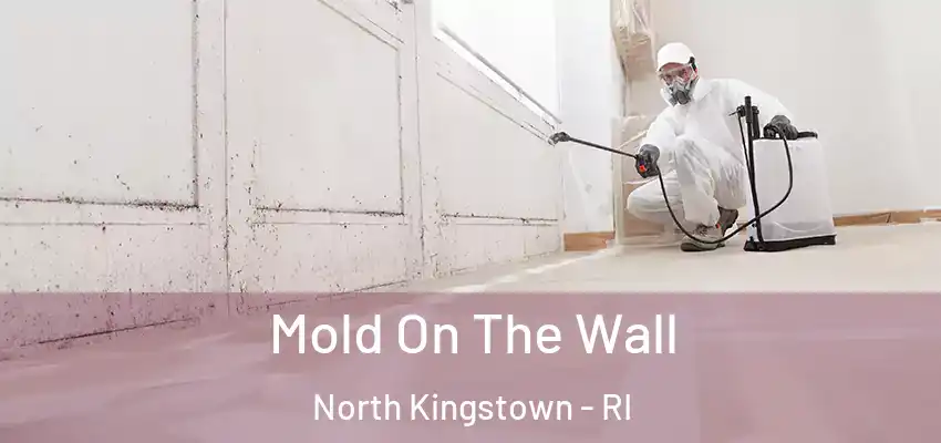  Mold On The Wall North Kingstown - RI