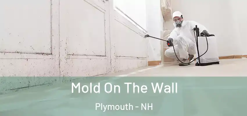Mold On The Wall Plymouth - NH