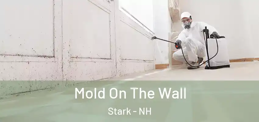 Mold On The Wall Stark - NH