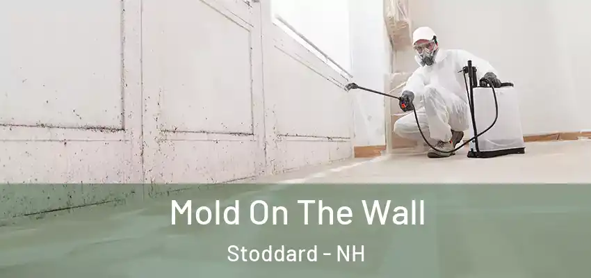  Mold On The Wall Stoddard - NH