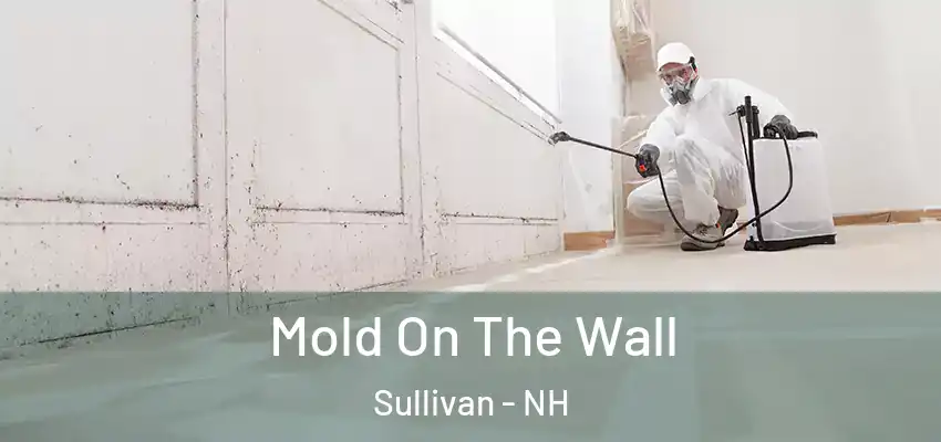  Mold On The Wall Sullivan - NH