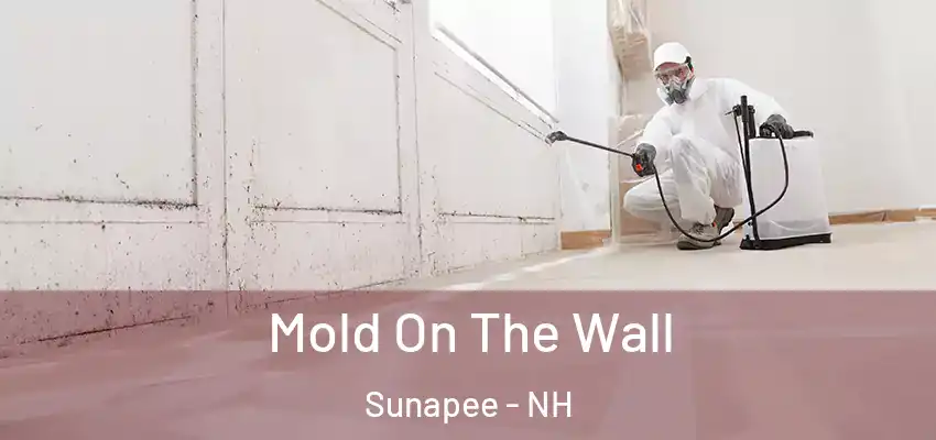  Mold On The Wall Sunapee - NH